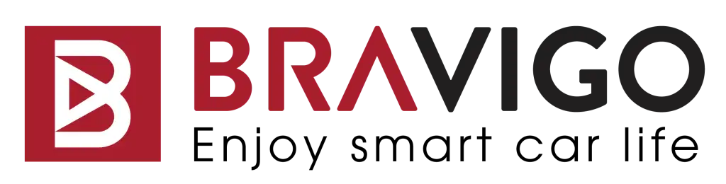 Logo Bravigo full