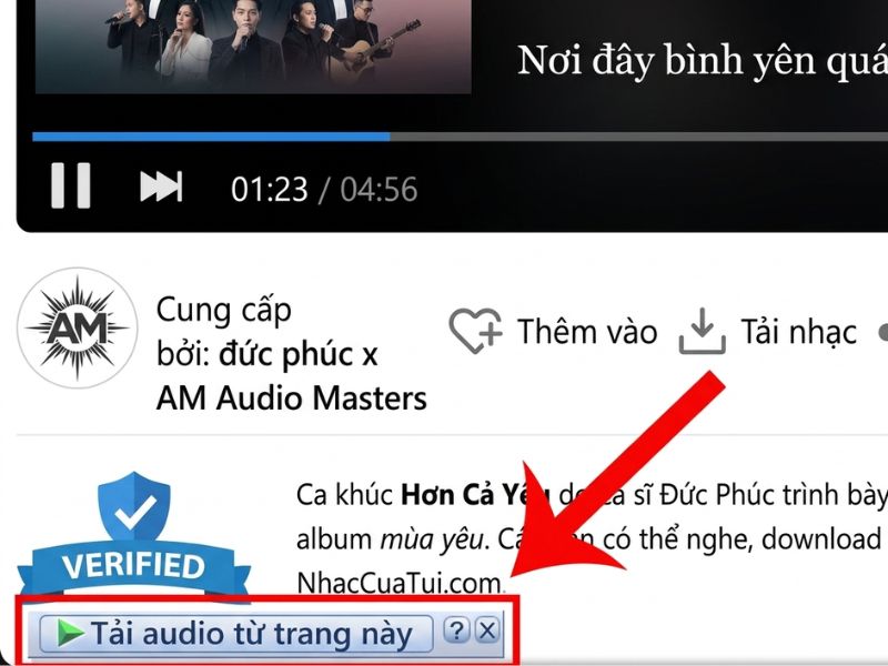 cách chép nhạc vào usb bằng idm