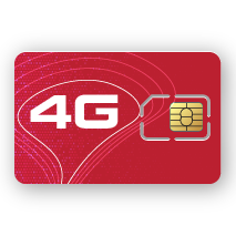 Icon sim data